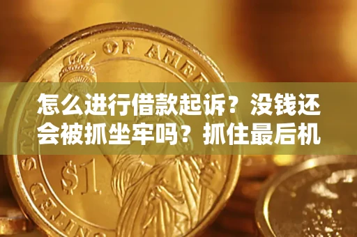 济南怎么进行借款起诉？没钱还会被抓坐牢吗？抓住最后机会！