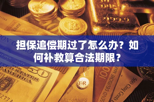 济南担保追偿期过了怎么办？如何补救算合法期限？