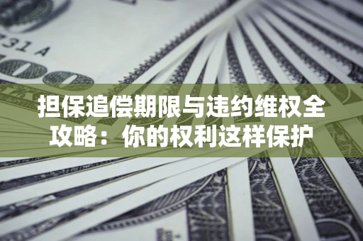 济南担保追偿期限与违约维权全攻略：你的权利这样保护
