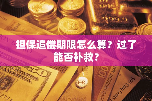 济南担保追偿期限怎么算？过了能否补救？